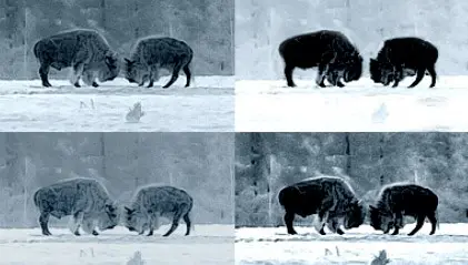 режим